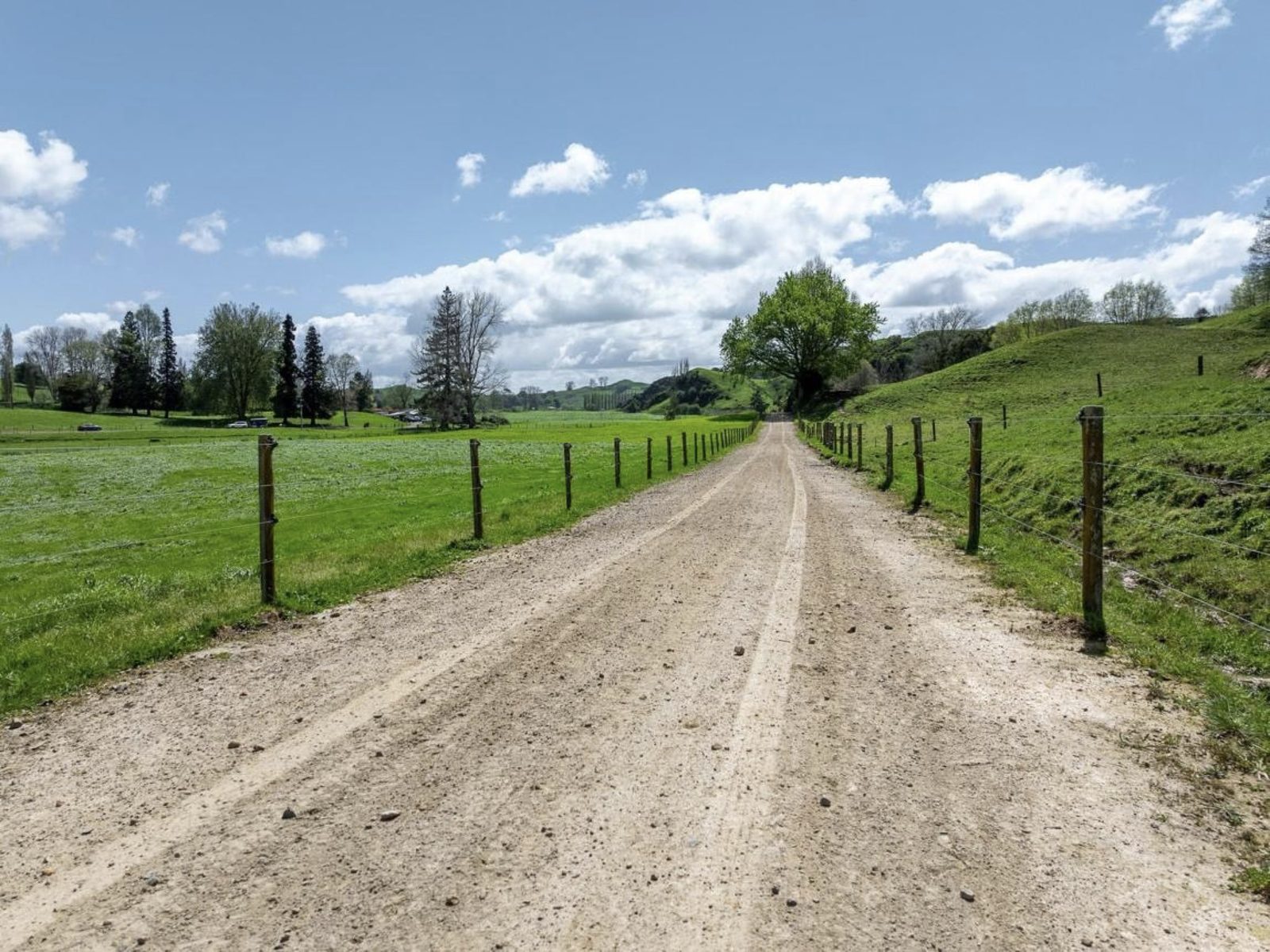 The gravel start and finish straight at Waipu Gravel Muster HQ