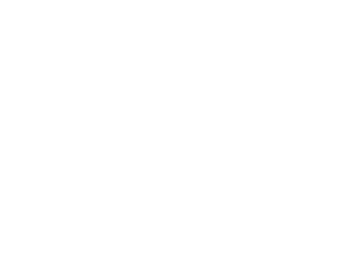 Mountain Bike New Zealand